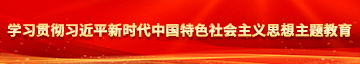 男生操女生视频网站入口学习贯彻习近平新时代中国特色社会主义思想主题教育